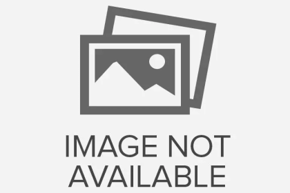 Chuyên tổ chức lễ cưới 